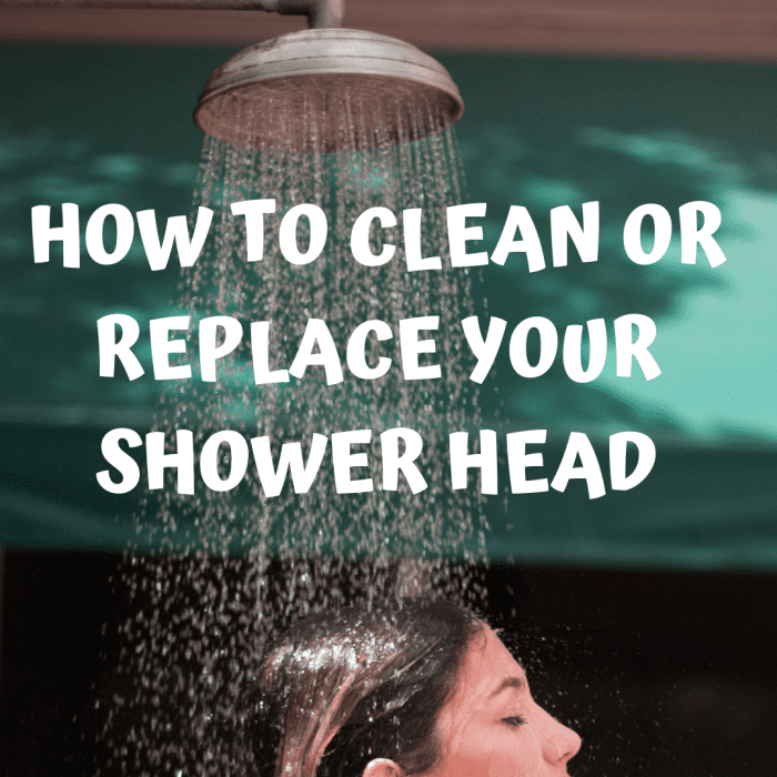 How To Clean Or Replace Your Showerhead Dengarden