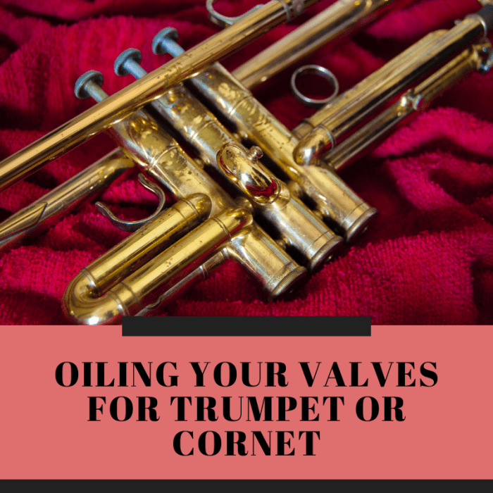 How to Oil Your Trumpet Valves Spinditty