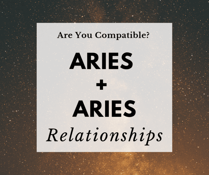 Aries are competitive by nature, but with proper communication, an Aries couple can last for a lifetime.