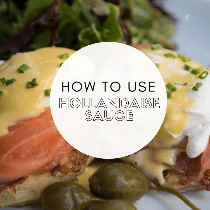 Uses for Leftover Hollandaise Sauce and How to Make It Delishably