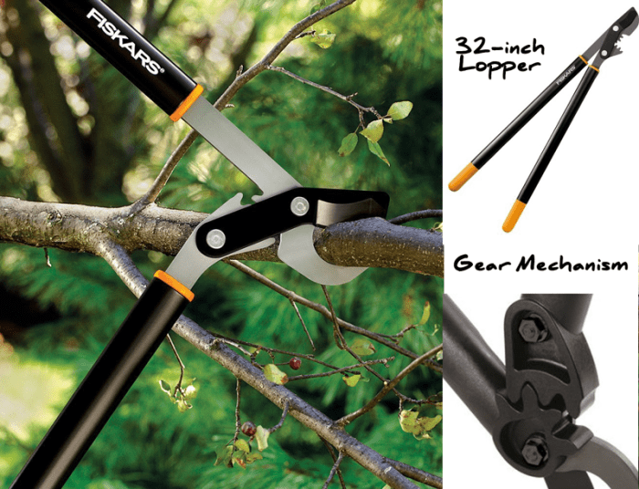 The 10 Best Manual Pole Pruners And Loppers For Tree Trimming Dengarden 