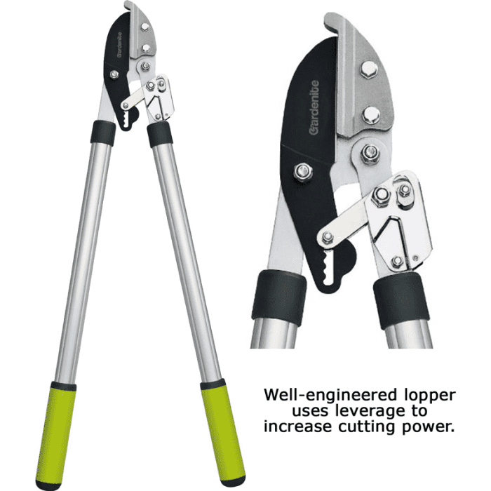 The 10 Best Manual Pole Pruners And Loppers For Tree Trimming Dengarden 