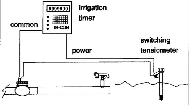 This setup is controlled by the soil sensor on the right. The controller (timer) is set to water more often than needed, but If the sensor shows there's enough water in the soil already, it cancels the signal to open the sprinkler valve (left).