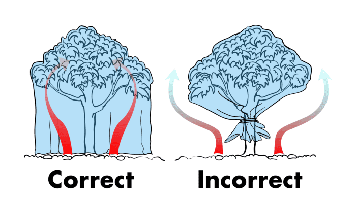 Make sure to place your covers completely over your plants and let them drape all the way to the ground—don't tie the cover to the trunk, otherwise the heat radiating up out of the soil won't be able to warm up your plant.