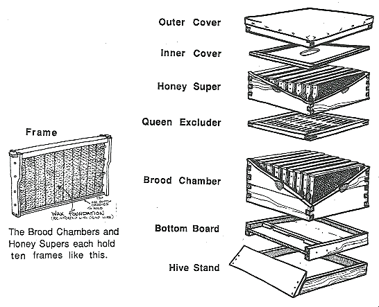 Diagram of a beehive, including brood chambers.