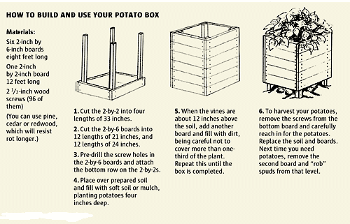 Potato Grow Box: If you follow the instructions above, you can grow a huge amount of potatoes in a very small space.