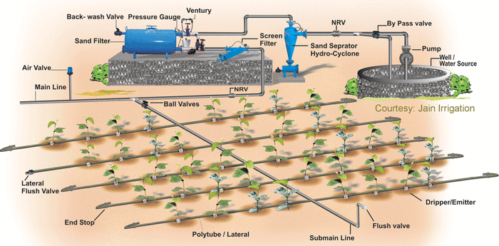 This common drip irrigation system design effectively waters a small to medium sized garden.
