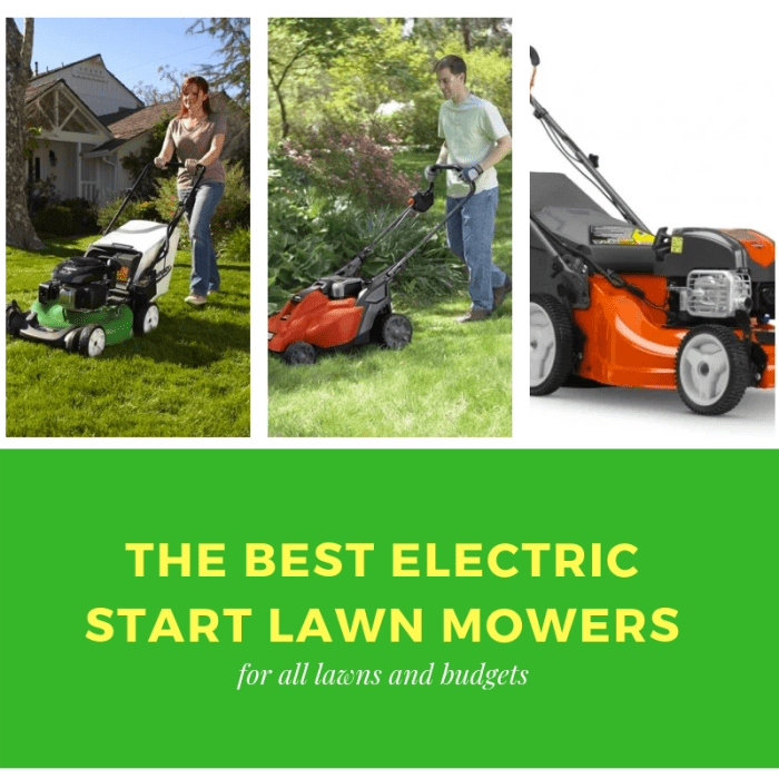 Top 3 Best Electric Start Lawn Mowers Dengarden