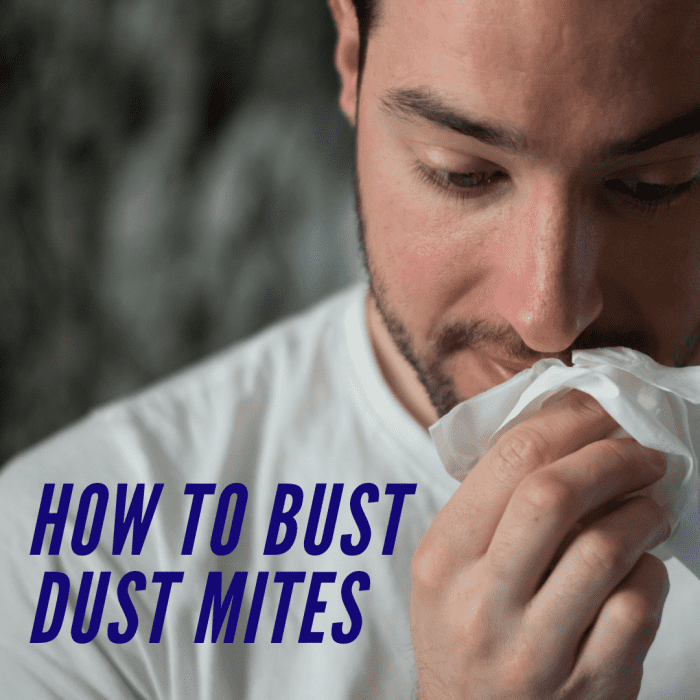 How to bust dust mites.