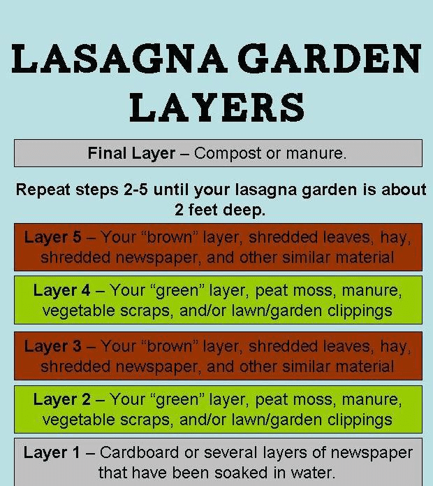 different-types-of-gardening-for-homesteaders