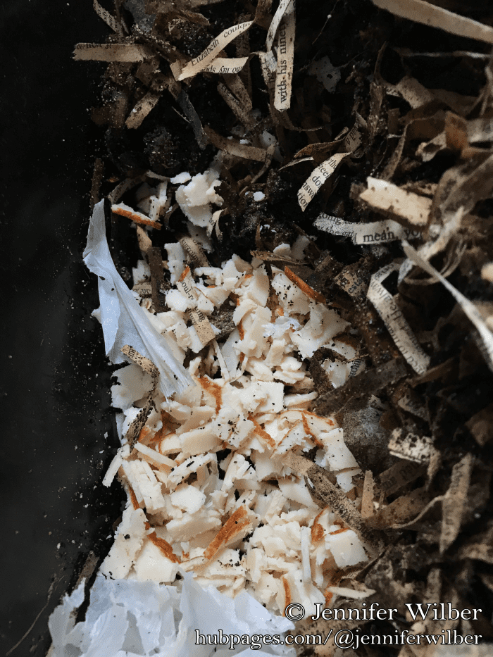 I dig out a space on one side of the top tray of the Worm Factory 360, then dump in the cut-up cold cuts. I mixed in some of the existing compost material and bedding after adding the meat.