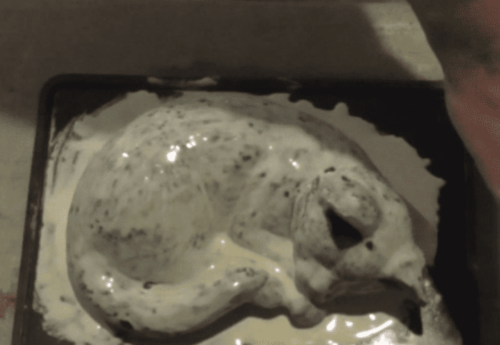 It might take some patience, but be sure to give your mold plenty of time to dry before applying each additional layer of latex.