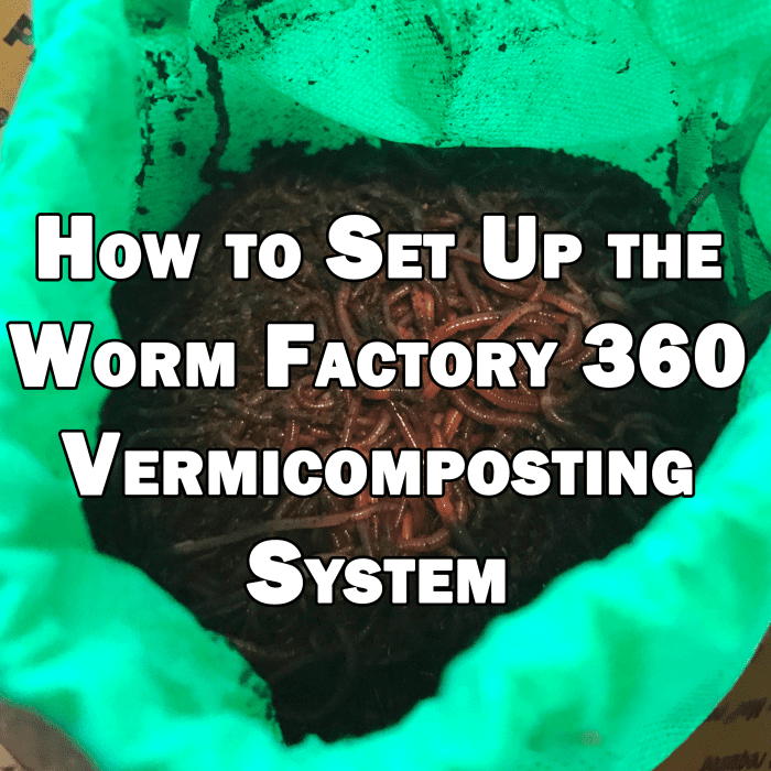 How to Set Up the Worm Factory 360 Worm Composting Bin Dengarden