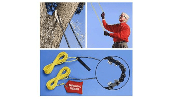 Une scie à corde à branches hautes