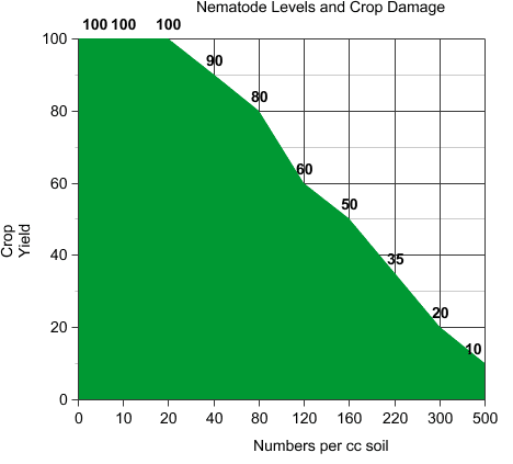 Loss of plant production by nematode damage is related to the number of nematodes in the soil. Low density levels do not cause significant damage. Soil tests can be performed by state laboratories.