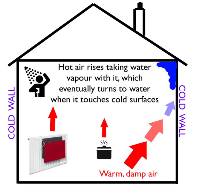 How to Prevent Condensation in Your Home Dengarden