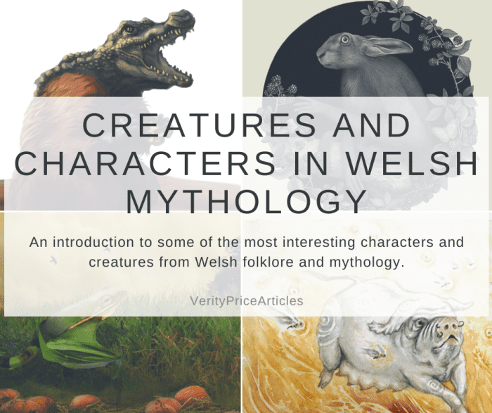 An introduction to some of the most interesting characters and creatures from Welsh folklore and mythology.
