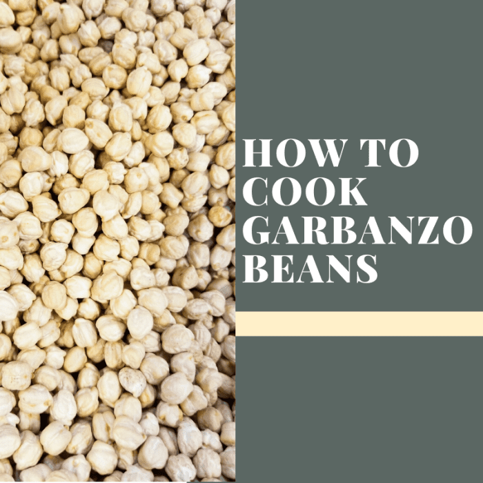 How to Cook Garbanzo Beans (or Chickpeas) Delishably
