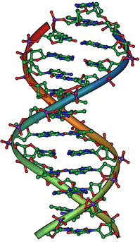 Some forms of hearing loss are genetic, while others have environmental causes.