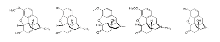 The very similar chemical structure of narcotics used to treat more severe sciatica cases: codeine, morphine, oxycodone, hydrocodone, oxymorphone
