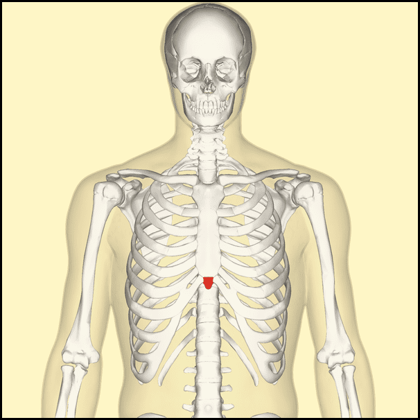 xiphoid-process-pain-causes-symptoms-treatments-youmemindbody