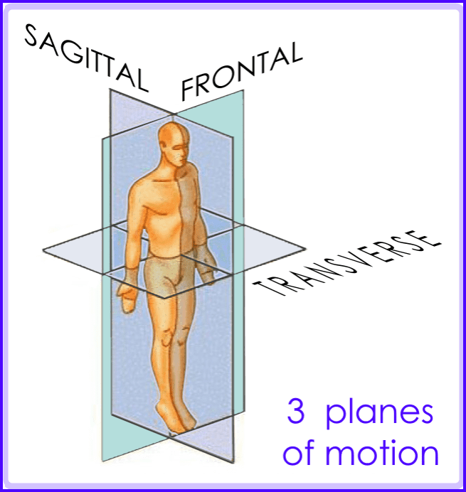 sagittal=like head moves saying "yes", transverse="no", frontal="maybe" (/ \ drop ear towards shoulder).