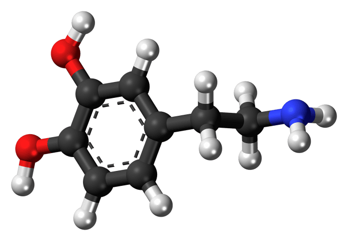 The chemical structure of dopamine. Too much, or too little dopamine in the brain will result in depressive or manic conditions.