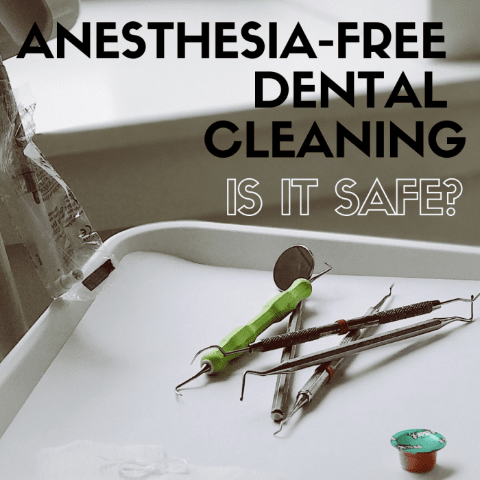 AnesthesiaFree Teeth Cleaning for Dogs Is It Safe? PetHelpful