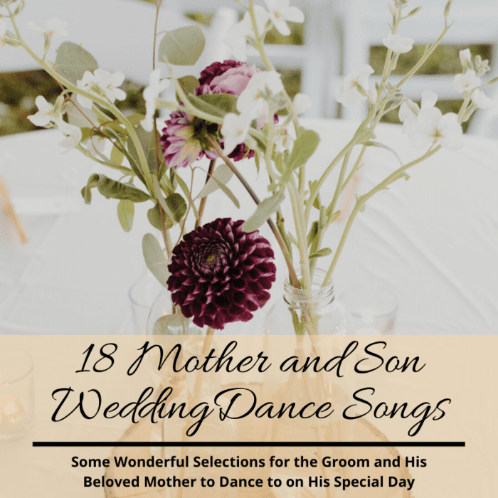 The 18 Best MotherandSon Wedding Dance Songs Holidappy