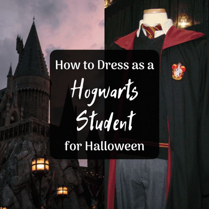 Get ideas for DIY Hogwarts student uniform costumes for women and men!