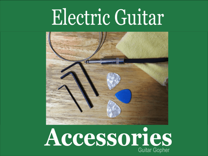 10 Essential Electric Guitar Accessories for Beginners Spinditty