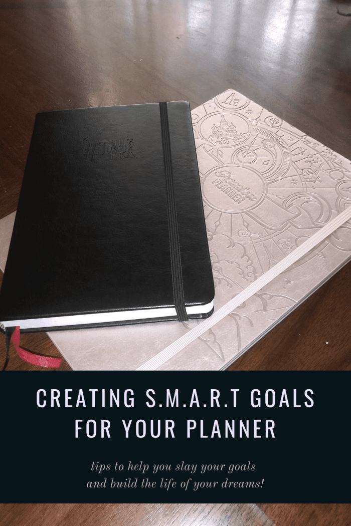 I like the #ThisIsMyEra planner or the Passion Planner #pashfam for creating and working toward my goals. These are two of my favorite planners.
