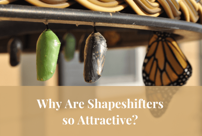 People seem to be going head-over-heels for novels about shapeshifters. Why? This article explores this issue in depth.