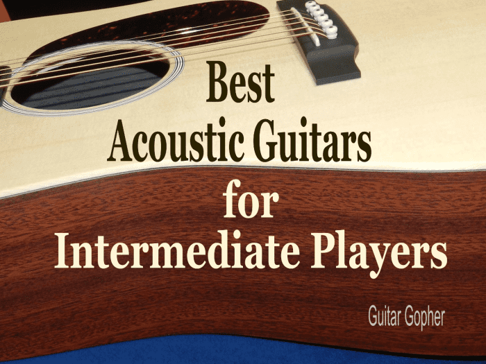 Best Acoustic Guitars for Intermediate Players - Spinditty