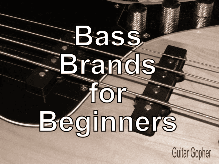 Best Bass Guitar Brands for Beginners Spinditty