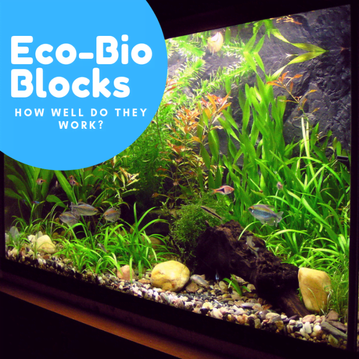 How Do Eco-Bio Blocks Improve Aquarium Water Quality? - PetHelpful