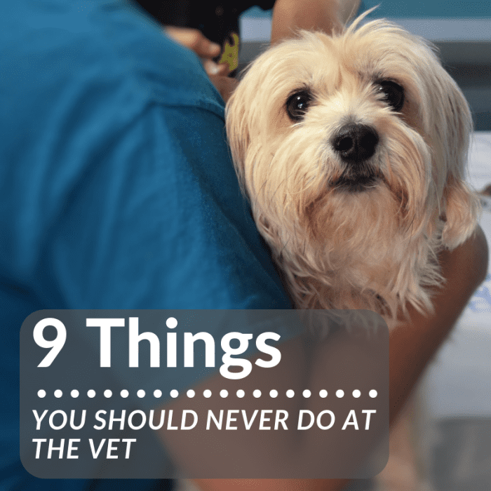 If you want the best care possible for your furry companion, here are 9 behaviors you should avoid when visiting your veterinarian's office.