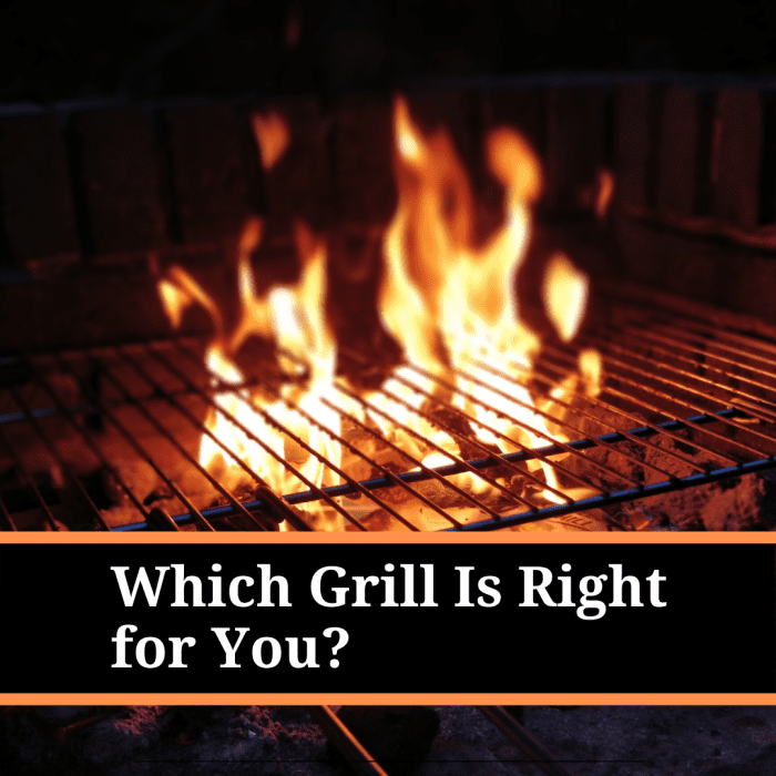 Which Grill Is Right for You? Charcoal, Propane, or Infrared Propane? Delishably