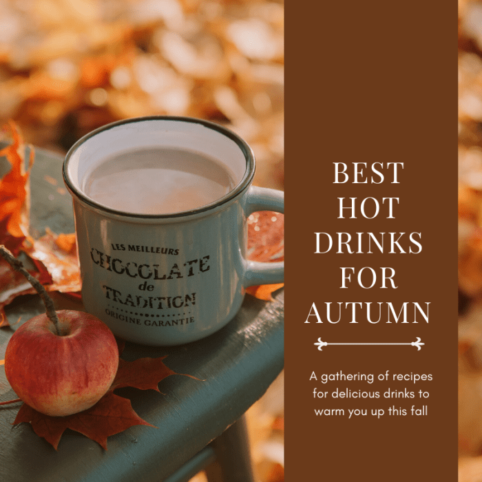 This article compiles a handful of my favorite autumnal drinks for when it starts getting colder outside.