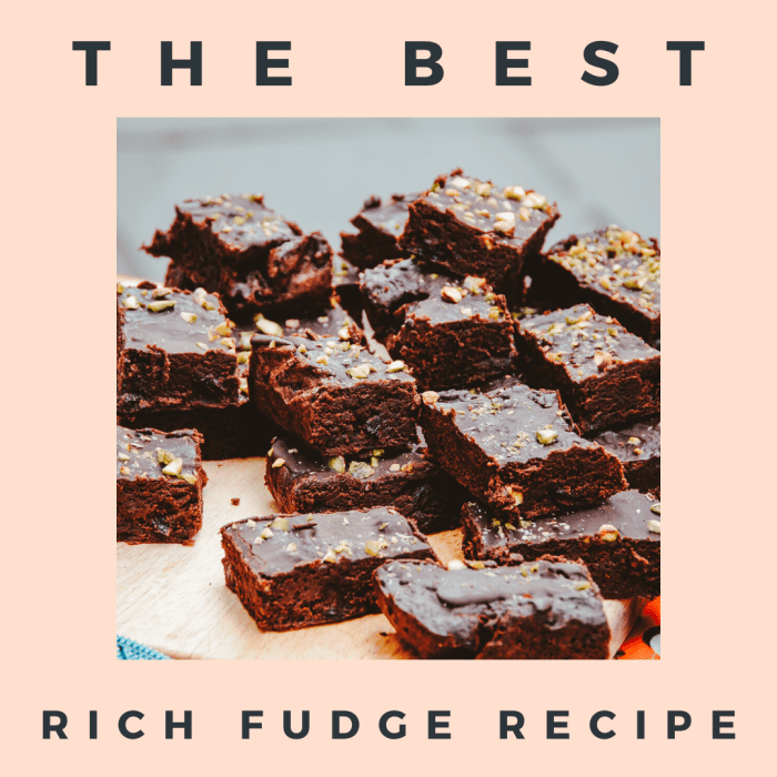 The Best Rich Chocolate Fudge Recipe Delishably
