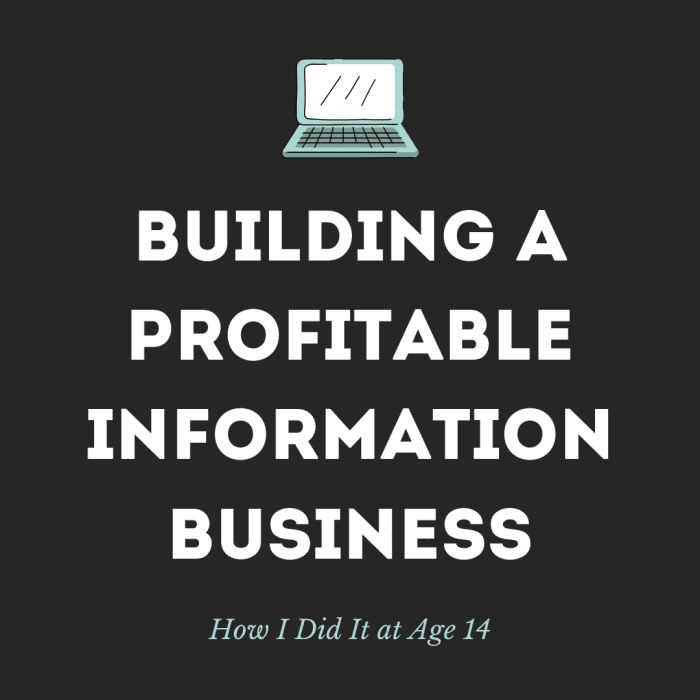 Read my story of how I started a successful information business as a teenager, and get advice on how to make such a business profitable.