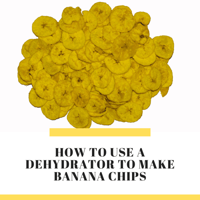 Tips for Using a Dehydrator & Banana Chip Recipe Delishably
