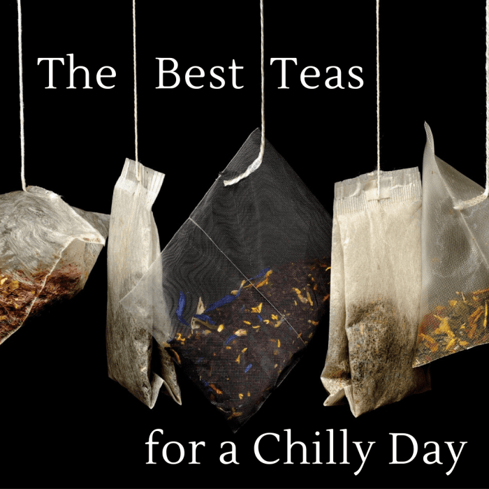 This article will break down my five favorite teas to drink when it's cold outside and I'm in need of warmth.