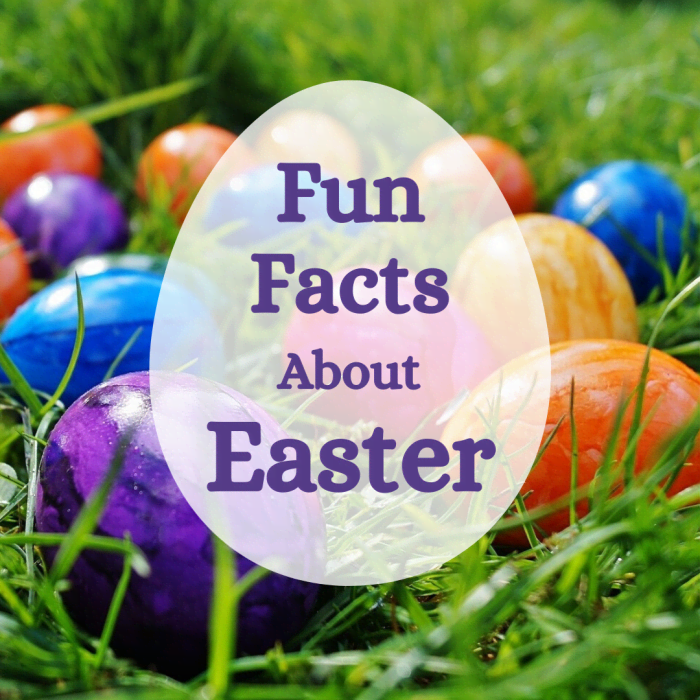 Learn more about the symbols, songs, religious traditions, treats, and fun associated with the Easter holiday.