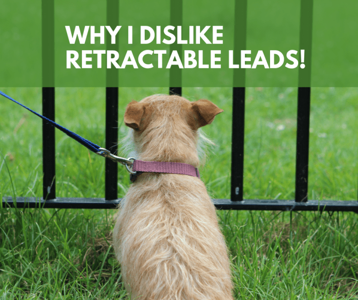 Why I'm Against Retractable Leads PetHelpful