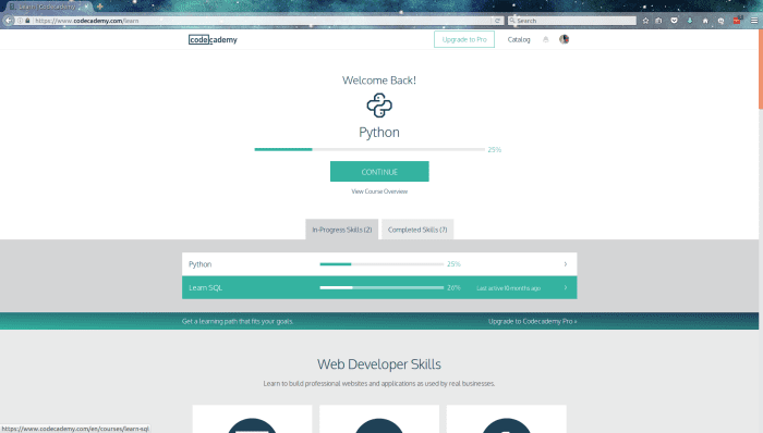 What Are the Best Free Websites to Learn Programming and Computer ...