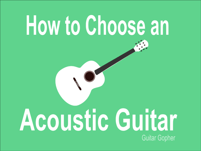 How to Choose an Acoustic Guitar for a Beginner Spinditty