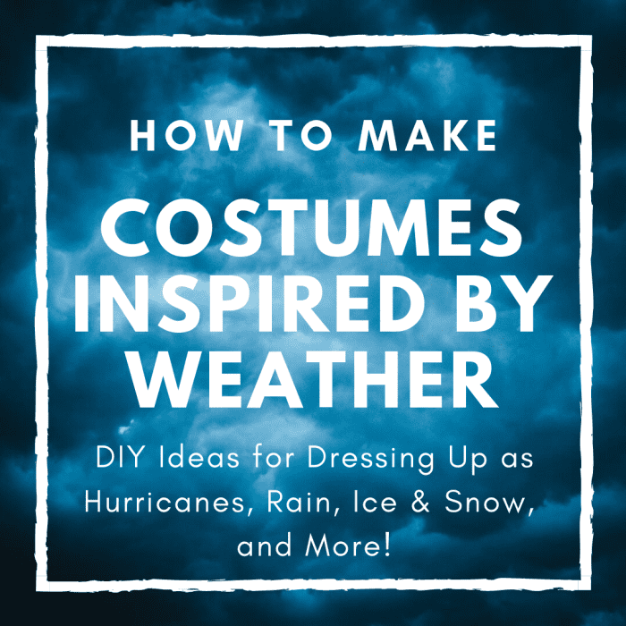 Weather Costume Ideas for Halloween Fun Holidappy