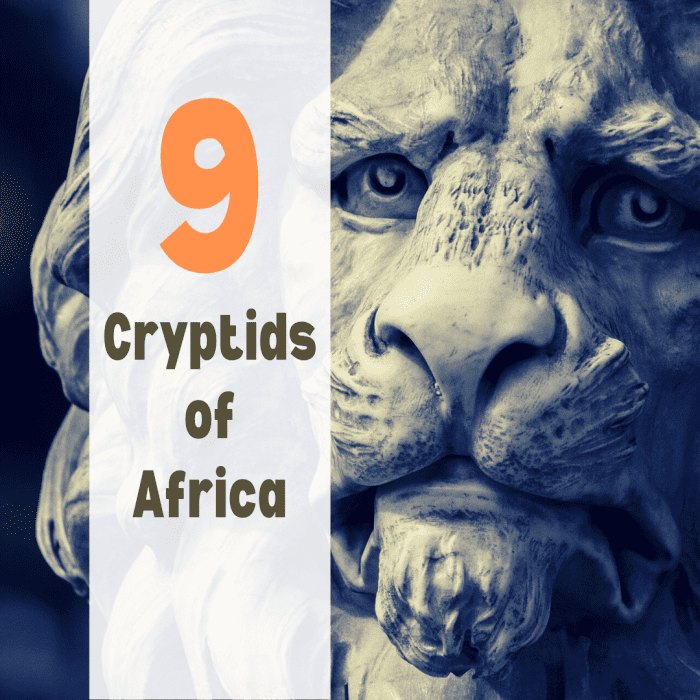 Learn about nine legendary creatures in Africa, from the lion-like Marozi to the Mamlambo river monster.