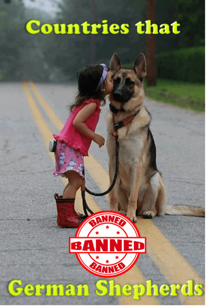 11 Countries Where German Shepherd Dogs Are Banned or Restricted